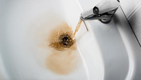 tannin in water tannin in water